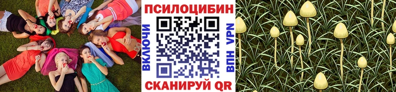 Галлюциногенные грибы мицелий  Фролово 